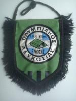 /album/nicosia/olympiakos-nicosia-16-jpg/